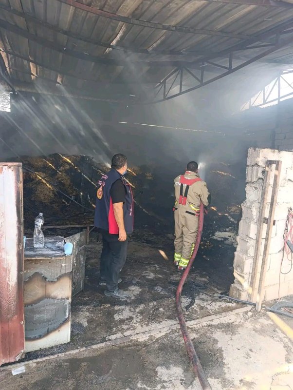 Otluk alanda çıkıp samanlığa sıçrayan yangında, tarım aletleri ve otomobilleri yanan depremzede ailenin emekleri kül oldu