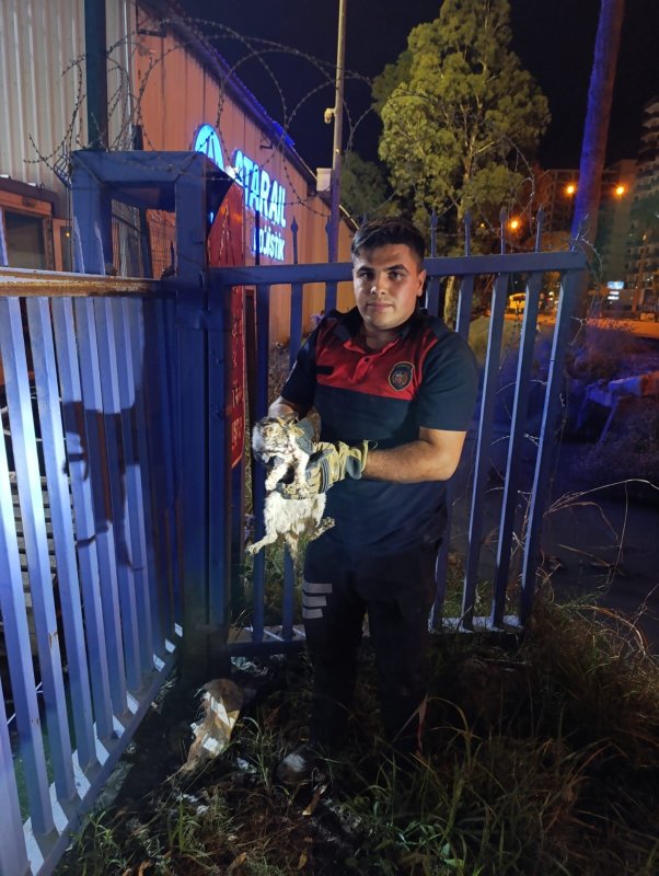 Su kanalına düşen kedi itfaiye ekiplerince kurtarıldı