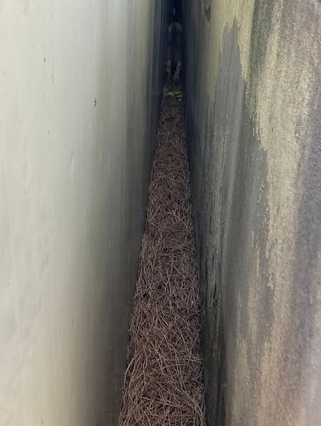 Duvar ile konteyner arasında sıkışan köpeği itfaiye kurtardı (Fotoğraflı) Ramazan İlın HATAY (İHA) - Hatay'da konteyner ve duvar arasında sıkışarak mahsur kalan yavru köpeği itfaiye ekipleri kurtardı. Arsuz ilçesi Karahüseyinli Mahallesi’nde konteyner ve duvar arasına giren yavru köpek mahsur kaldı. Sesi fark edenler durumu itfaiye ekiplerine bildirdi. Yavru köpek, ekiplerin titiz çalışmasıyla sağlıklı bir şekilde kurtarıldı. Kurtarılan yavru köpek kardeşlerinin yanına bırakıldı.