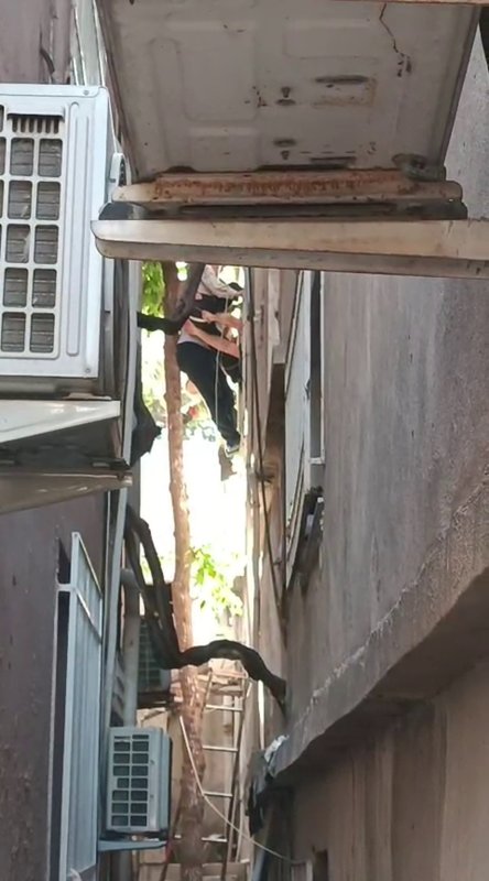 Ağaçta asılı kalan şahsı itfaiye kurtardı