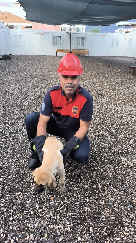 Demir kapıya sıkışan yavru köpeği itfaiye kurtardı
