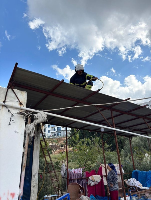 Hatay’da eve giren 2 yılanı itfaiye yakaladı