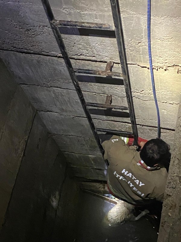 Su dolu kuyuya düşen 2 köpeği itfaiye kurtardı