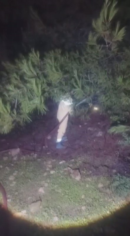 Hatay’da yıldırımın düştüğü ağaçlık alanda yangın çıktı