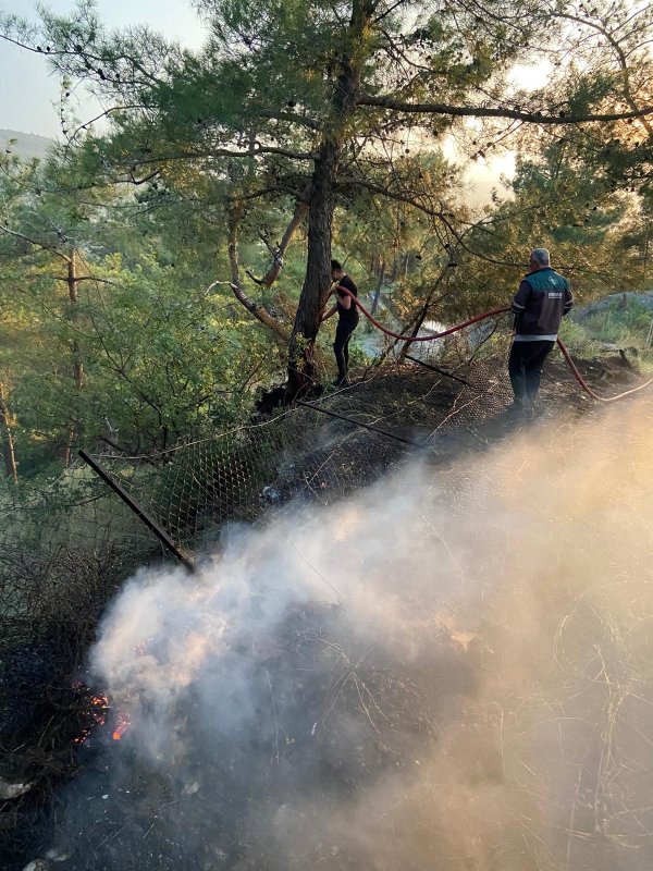 Dörtyol’da ormanlık yangını