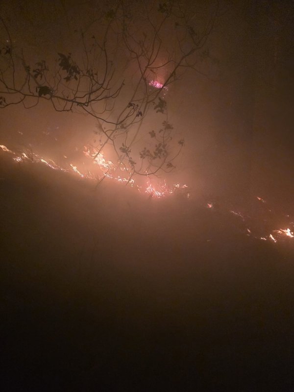 Hatay’da yıldırımın düştüğü ormanlık alanda yangın çıktı