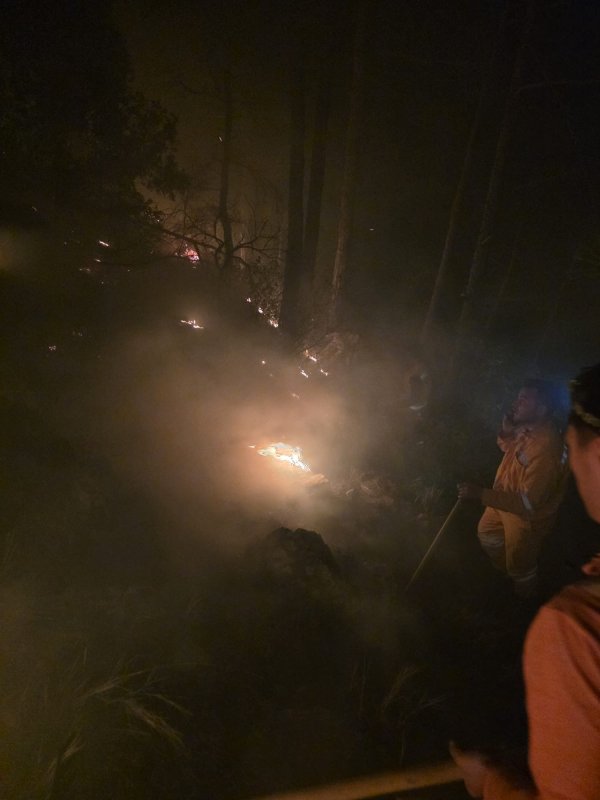 Hatay’da yıldırımın düştüğü ormanlık alanda yangın çıktı