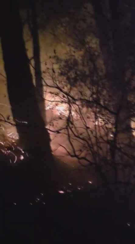 Hatay'da yıldırım düşmesiyle çıkan orman yangına müdahale devam ediyor