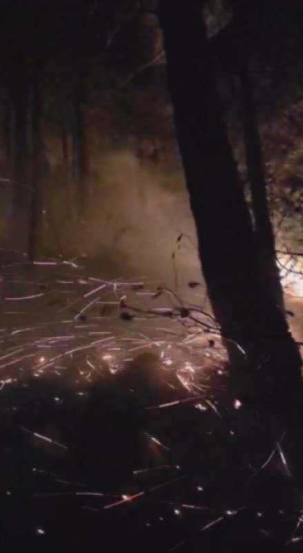 Hatay’da yıldırımın düştüğü ormanlık alandaki yangın 16’ncı saatte kontrol altına alındı