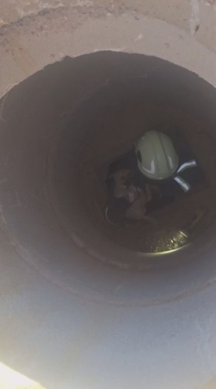 Hatay'da 6 metrelik çukurda mahsur kalan yavru köpeği itfaiye kurtardı (Fotoğraflı) Mehmet İhsan Çakar HATAY (İHA) - Hatay'ın Kırıkhan ilçesinde 6 metre derinliğindeki çukura düşen yavru köpek, itfaiye ekiplerince kurtarıldı. İlçeye bağlı Kurtlusoğuksu Mahallesi'nde bulunan 6 metre derinliğindeki çukurdan gelen yavru köpek sesi üzerine çevredeki vatandaşlar durumu 112 Acil Çağrı Merkezi'ne bildirdi. İhbar üzerine olay yerine Hatay Büyükşehir Belediyesi itfaiye ekipleri sevk edildi. Kısa sürede bölgeye gelen ekipler, yavru köpeği kurtarmak için çalışma başlattı. İtfaiye personeli 6 metre derinliğindeki çukura girerek yavru köpeği kurtardı. Kurtarılan köpek, sahibine teslim edildi.