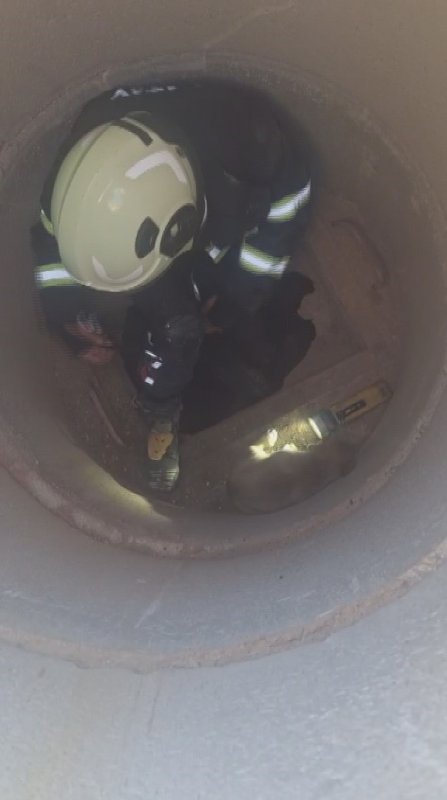 Hatay'da 6 metrelik çukurda mahsur kalan yavru köpeği itfaiye kurtardı (Fotoğraflı) Mehmet İhsan Çakar HATAY (İHA) - Hatay'ın Kırıkhan ilçesinde 6 metre derinliğindeki çukura düşen yavru köpek, itfaiye ekiplerince kurtarıldı. İlçeye bağlı Kurtlusoğuksu Mahallesi'nde bulunan 6 metre derinliğindeki çukurdan gelen yavru köpek sesi üzerine çevredeki vatandaşlar durumu 112 Acil Çağrı Merkezi'ne bildirdi. İhbar üzerine olay yerine Hatay Büyükşehir Belediyesi itfaiye ekipleri sevk edildi. Kısa sürede bölgeye gelen ekipler, yavru köpeği kurtarmak için çalışma başlattı. İtfaiye personeli 6 metre derinliğindeki çukura girerek yavru köpeği kurtardı. Kurtarılan köpek, sahibine teslim edildi.