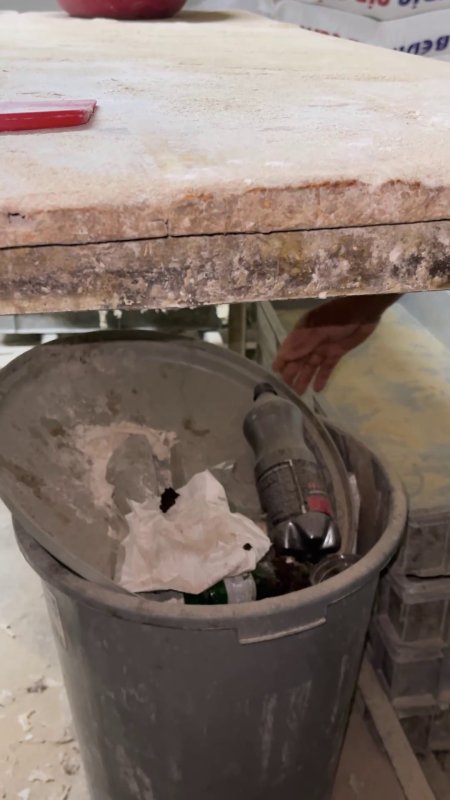 Mide bulandıran görüntüler, zabıta böcek çeşitlerini saymakla bitiremedi