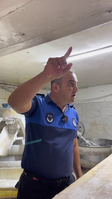 Mide bulandıran görüntüler, zabıta böcek çeşitlerini saymakla bitiremedi