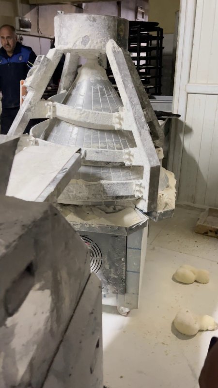 Mide bulandıran görüntüler, zabıta böcek çeşitlerini saymakla bitiremedi