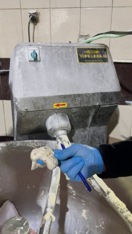 Mide bulandıran görüntüler, zabıta böcek çeşitlerini saymakla bitiremedi