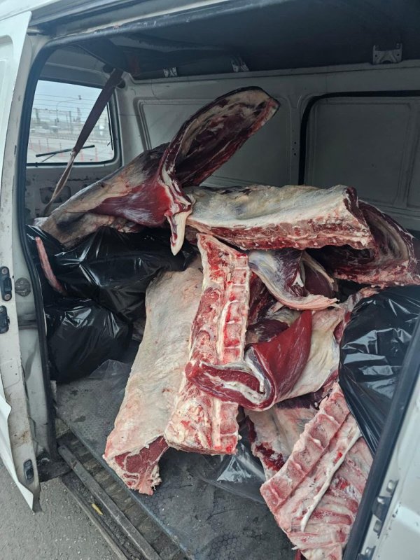 Minibüste menşei belirsiz 1 ton kırmızı et ele geçirildi (Fotoğraflı) Mehmet Uras HATAY (İHA) - Hatay'da jandarma ekipleri tarafından durdurulan araçta menşei belirsiz 1 ton kırmızı et ele geçirildi. İl Tarım ve Orman Müdürlüğü ile kolluk kuvvetleri gıda güvenliğini sağlamak ve halk sağlığını tehdit edecek unsurların önüne geçmek amacıyla ortak çalışma sürdürüyor. Bu kapsamda Erzin ilçesi E-91 Karayolu üzerindeki Gözene Jandarma Karakolu önünde 28 Kasım'da yapılan uygulamada H.A. idaresindeki minibüs içerisinde menşei belirsiz yaklaşık 1 ton kırmızı et ele geçirildi. Üretim izin belgesi ve faturası olmayan ürünler Erzin İlçe Tarım Müdürlüğü'ne teslim edildi. El konulan etler gerekli idari işlemler yapıldıktan sonra toprağa gömülerek imha edildi.