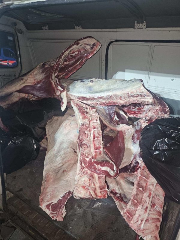 Minibüste menşei belirsiz 1 ton kırmızı et ele geçirildi (Fotoğraflı) Mehmet Uras HATAY (İHA) - Hatay'da jandarma ekipleri tarafından durdurulan araçta menşei belirsiz 1 ton kırmızı et ele geçirildi. İl Tarım ve Orman Müdürlüğü ile kolluk kuvvetleri gıda güvenliğini sağlamak ve halk sağlığını tehdit edecek unsurların önüne geçmek amacıyla ortak çalışma sürdürüyor. Bu kapsamda Erzin ilçesi E-91 Karayolu üzerindeki Gözene Jandarma Karakolu önünde 28 Kasım'da yapılan uygulamada H.A. idaresindeki minibüs içerisinde menşei belirsiz yaklaşık 1 ton kırmızı et ele geçirildi. Üretim izin belgesi ve faturası olmayan ürünler Erzin İlçe Tarım Müdürlüğü'ne teslim edildi. El konulan etler gerekli idari işlemler yapıldıktan sonra toprağa gömülerek imha edildi.