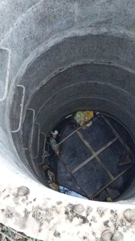 Su kuyusunda mahsur kalan yavru kedi, kurtarılarak annesine teslim edildi