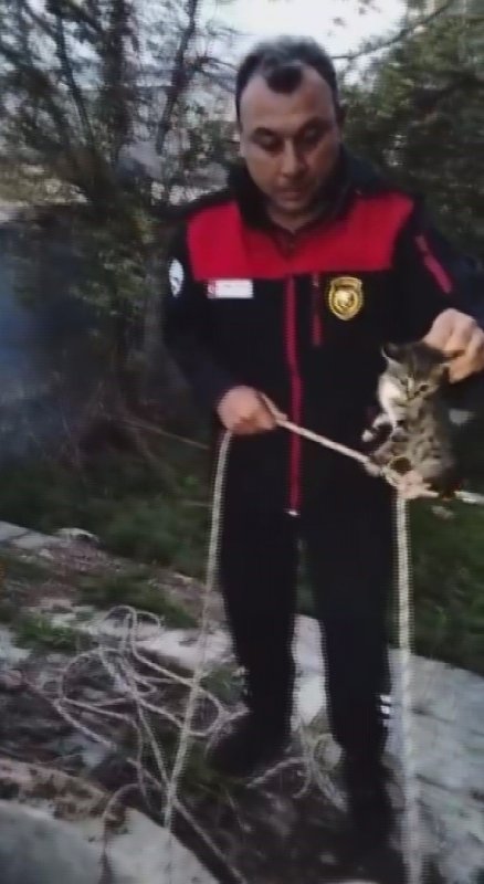 Su kuyusunda mahsur kalan yavru kedi, kurtarılarak annesine teslim edildi