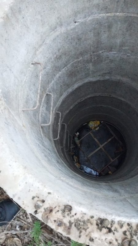 Su kuyusunda mahsur kalan yavru kedi, kurtarılarak annesine teslim edildi