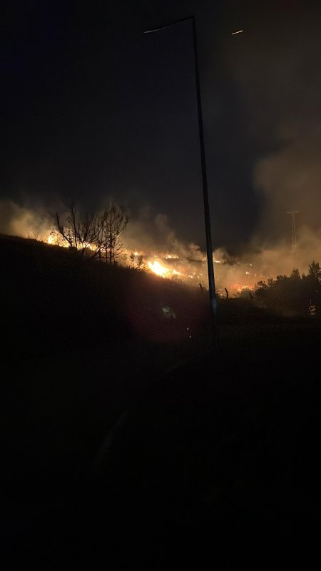 Hatay'da çıkan otluk yangını söndürüldü