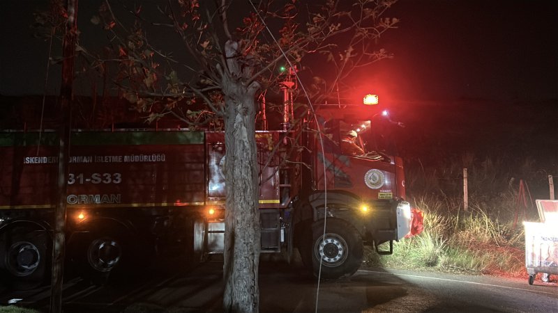Hatay'da çıkan otluk yangını söndürüldü