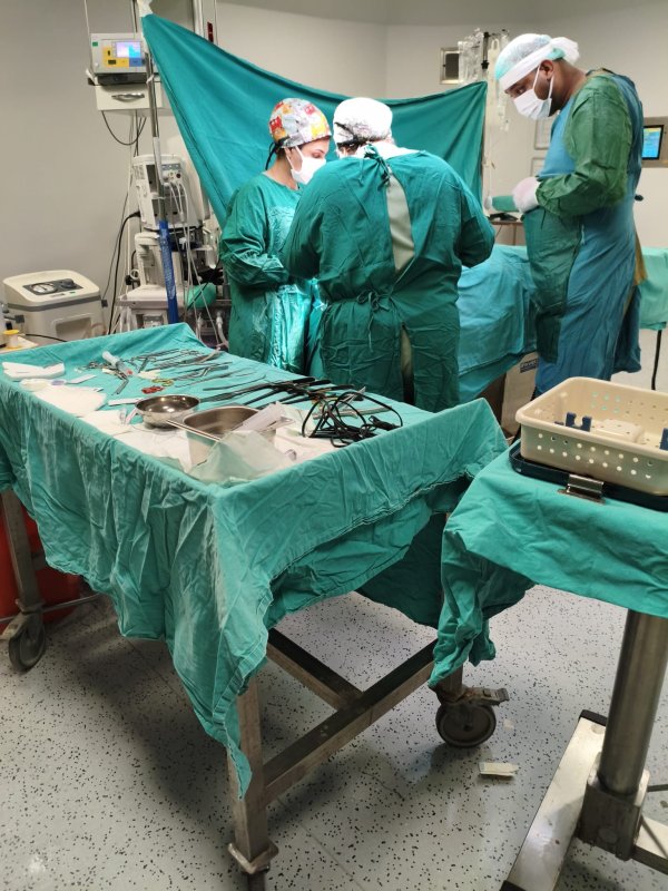 Evladını bulan arama kurtarma görevlisinin alnından öpen baba: "Oğluma bunu yapan caninin en ağır cezayı almasını istiyorum"