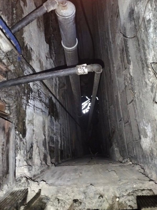 Havalandırma boşluğuna düşen yavru kediyi itfaiye kurtardı