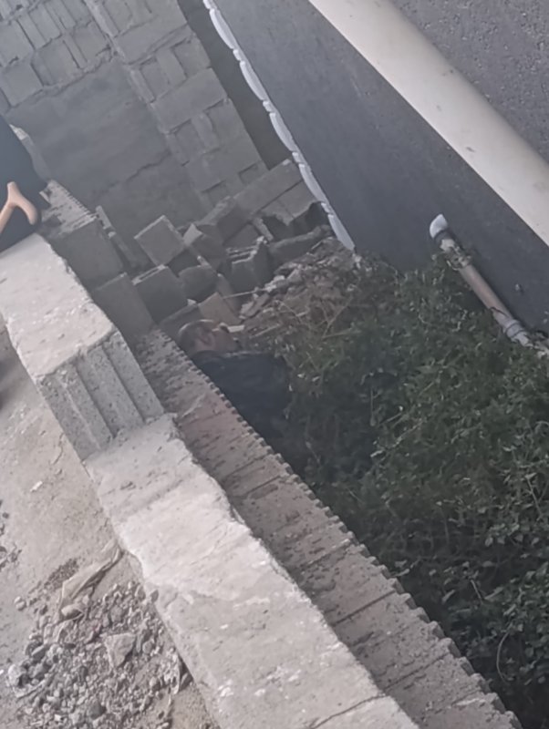 Kalp krizi geçiren adam duvarın üzerinden bahçeye düştü