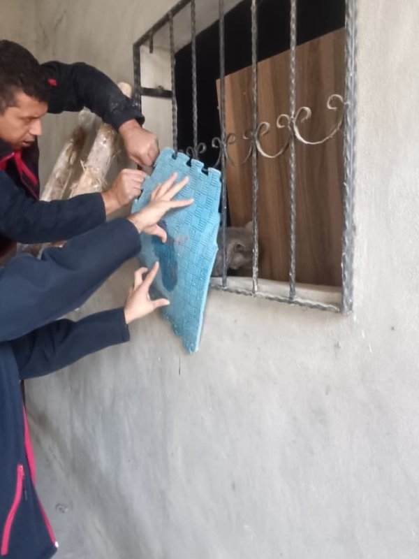 Antakya’da kedi kurtarma operasyonu