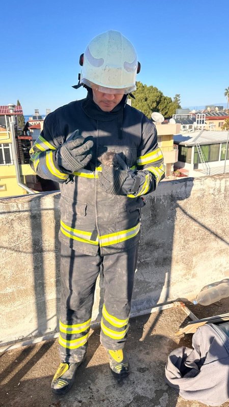 Hatay’da havalandırma boşluğuna düşen yavru kedi kurtarıldı