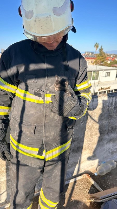 Hatay’da havalandırma boşluğuna düşen yavru kedi kurtarıldı
