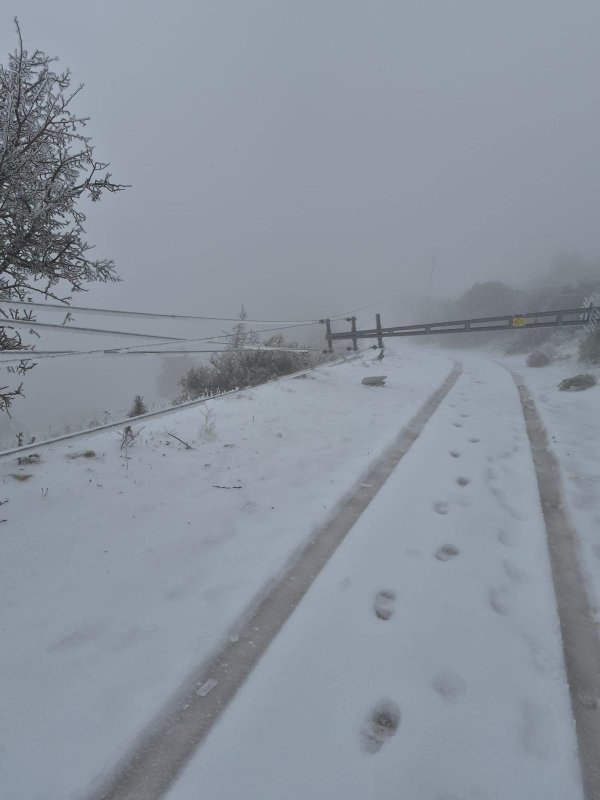 Toroslar EDAŞ'tan Hatay'da zorlu kış koşullarına karşı mücadele (Fotoğraflı) HATAY (İHA) - Enerjisa Dağıtım Şirketleri'nden Toroslar Elektrik Dağıtım A.Ş. (Toroslar EDAŞ), Hatay ve çevresinde etkili olan yoğun kar yağışı, buz yükü ve kuvvetli rüzgârların yol açtığı altyapı hasarlarına karşı tüm imkânlarını seferber etti. Zorlu hava koşullarına rağmen 274 personel, 91 araç, 2 drone ve 5 jeneratörle sahada 7/24 görev yapan ekipler, arızalara hızlı müdahale ederek enerji arzının sürekliliğini sağlamak için çalışıyor. Hatay ve çevresinde 31 Aralık 2025 tarihinde etkisini artıran yoğun kar yağışı ve ani sıcaklık düşüşleri, enerji altyapısı üzerinde ciddi hasarlara yol açarken, Toroslar EDAŞ, bölgede enerji arzının kesintisiz şekilde devam etmesi için bölge genelinde 7/24 saha çalışmalarını sürdürüyor. Hatay'da yaşanan yoğun kar yağışı sonucu enerji nakil hatları ve mahalle içi dağıtım şebekelerinde oluşan yoğun buz yükü, kuvvetli rüzgârlarla birleşerek şebeke elemanları üzerindeki mekanik gerilmeyi kritik seviyelere taşırken, birçok noktada iletken kopmaları ve direk devrilmeleri gibi ciddi arızaların meydana gelmesine neden oldu. Kar yağışı ana yollar ile birçok köy ve mahalle yolunu ulaşıma kapatırken, sahaya erişim ancak ilgili kurumlar tarafından yürütülen yol açma çalışmalarının ardından kademeli olarak sağlanabildi. Yerleşim yerlerine ulaşımın sınırlı olması, coğrafi koşulların zorluğu ve enerji hatlarının yüksek rakımlı bölgelerde yer alması, müdahale süreçlerini önemli ölçüde zorlaştırdı. Drone destekli hızlı tespit, güçlü saha organizasyonu Toroslar EDAŞ ekipleri, 31 Aralık 2025 sabah saatlerinden itibaren arıza tespit çalışmalarına başladı. Ulaşımı kapalı ve zor bölgelerde hat, yol ve envanter kontrolleri 2 adet drone ile havadan gerçekleştirildi. Drone destekli bu çalışmalar sayesinde arıza ve hasar tespit süreçleri hızlandırılarak ekipler doğru noktalara yönlendirildi. Yapılan ön tespitlerde 65 adet direğin hasar gördüğü, yaklaşık 180 noktada iletken kopması meydana geldiği belirlendi. Afet süresince sahada 274 saha personeli ve 91 araç, 2 drone ve 5 jeneratörle görev yaparken; çalışmalara ayrıca 138 yüklenici personeli, 46 araç ve 24 iş makinesiyle destek verildi. Enerji arzının yeniden sağlanması için çalışma Toroslar EDAŞ ekiplerinin müdahaleleri sonucu dün saat 18.00 itibarıyla afet kaynaklı 28 adet Yüksek Gerilim (YG) arızası 3'e düşürülürken, ekipler ağırlıklı olarak Alçak Gerilim (AG) şebekelerinde meydana gelen hasarların giderilmesine odaklandı. Sahada yürütülen tüm çalışmalarda buz yükü ve kuvvetli rüzgâr kaynaklı ikincil hasar riskleri dikkate alınarak; hat ve yaklaşım güvenliği, personel ve yüklenici ekiplerin iş sağlığı ve güvenliği ile zorlu koşullarda yerleşim yerlerine güvenli ulaşım konularında azami hassasiyet gösterildi. Enerjisa Dağıtım Şirketleri'nin Ayedaş ve Başkent EDAŞ ile birlikte elektrik dağıtımındaki 3 şirketinden biri olan Toroslar EDAŞ'ın, olumsuz hava ve saha şartlarına rağmen afet nedeniyle oluşan kesintilerin en kısa sürede giderilmesi ve tüm abonelere enerji arz sürekliliğinin sağlanması amacıyla çalışmalarına devam ettiği belirtildi.