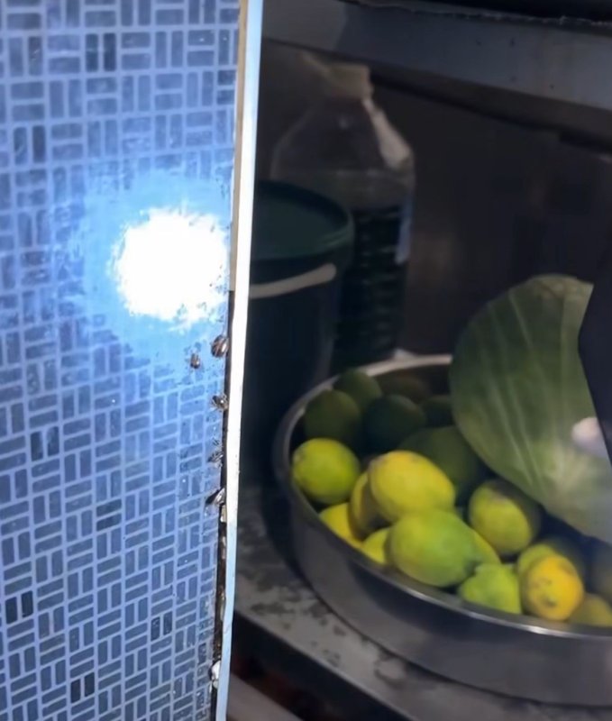 Alışveriş merkezindeki restoranlarda mide bulandıran görüntüler - Zabıta böcek yuvalarını tek tek görüntüledi (Fotoğraflı) Ogün Aslan HATAY (İHA) - Hatay'da Primemall Alışveriş Merkezi'nde zabıta ekipleri tarafından gerçekleştirilen denetimlerde, yemek katında faaliyet gösteren restoranlarda mide bulandıran görüntüler ortaya çıktı. Zabıta ekiplerinin böcek yuvası tespit ettiği iş yerinde ‘siz kendiniz kabul eder misiniz' sorusuna ‘kesinlikle doğru' yanıtı veren personel pes dedirtti. İskenderun Belediyesi Zabıta Müdürlüğü ekipleri, vatandaşların sağlıklı ve güvenli hizmet almasını sağlamak amacıyla Primemall AVM'nin yemek katında kapsamlı bir denetim gerçekleştirdi. Yapılan kontrollerde hijyen kuralları, ruhsat durumu, fiyat tarifeleri ve ürünlerin son kullanma tarihleri incelendi. Denetimler sırasında kurallara uymadığı tespit edilen çok sayıda restorana eksikliklerini gidermeleri yönünde uyarılarda bulunuldu. Yetkililer, özellikle hijyen standartları ve tüketici sağlığını ilgilendiren konularda işletmelerin daha dikkatli olması gerektiğini vurguladı. Zabıta ekipleri, eksikliklerin giderilmemesi halinde işletmelere cezai işlem uygulanacağını belirterek, denetimlerin aralıksız devam edeceğini ifade etti. Denetimler esnasında restoranlarda bulunan böcek yuvaları ve hijyen şartlarının unutulmasıysa mide bulandıran görüntüler ortaya çıkardı. Zabıta ekiplerinin tek tek görüntülediği böcek yuvaları hayrete düşürdü. Bir işletmede ağzı açık şekilde saklanan dondurmanın üzerine düşen kıl ve çeşitli maddeler görüntülendi.