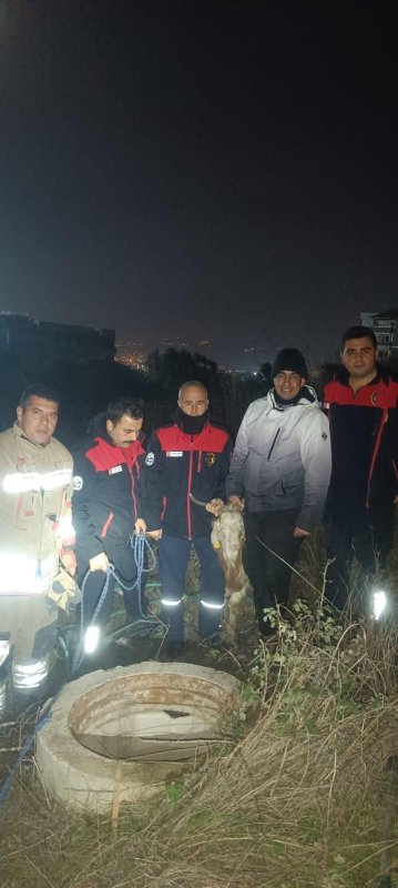 Su kuyusunda mahsur kalan keçiyi itfaiye kurtardı