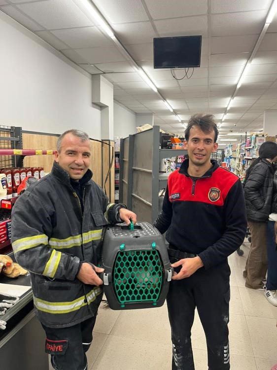 Havalandırma boşluğunda mahsur kalan kediyi itfaiye kurtardı