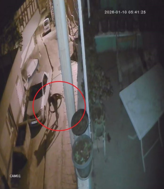 Mahallenin elektriksiz kalmasına sebep olan hırsızların canlarını hiçe sayarak yer altındaki kabloları çalma anları kamerada