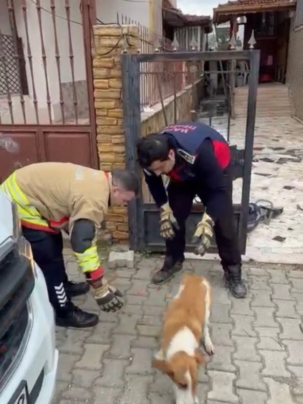 Demir korkuluklara sıkışan köpeği itfaiye kurtardı