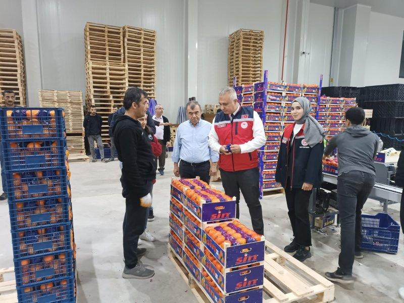 HATAY'DA TURUNÇGİL PAKETLEME İŞLETMELERİ DENETLENDİ 