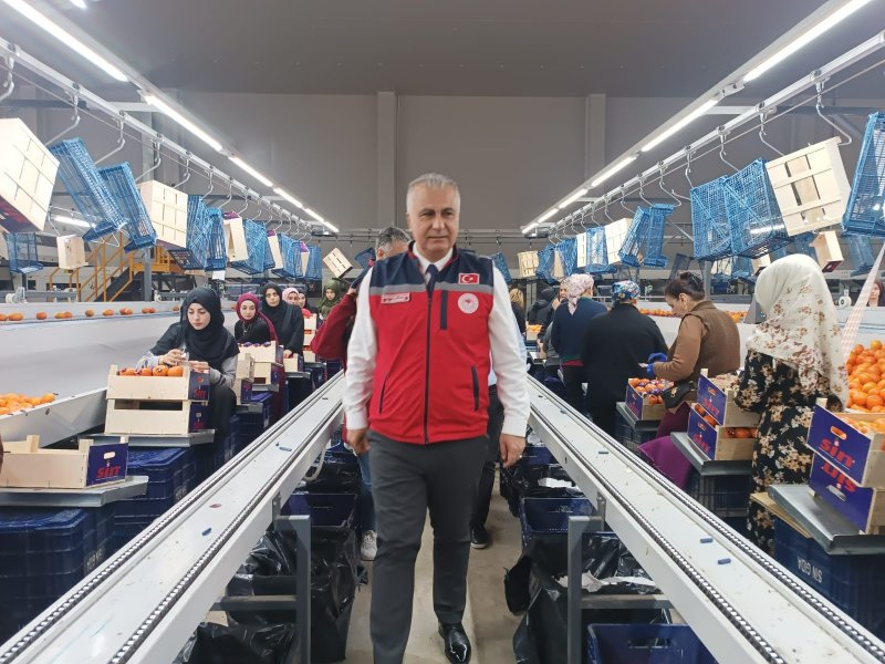 HATAY'DA TURUNÇGİL PAKETLEME İŞLETMELERİ DENETLENDİ 