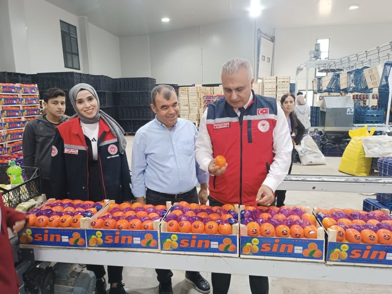 HATAY'DA TURUNÇGİL PAKETLEME İŞLETMELERİ DENETLENDİ 