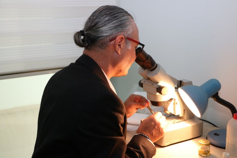 İSTE’DE YENİ YENGEÇ TÜRÜ TESPİT EDİLDİ