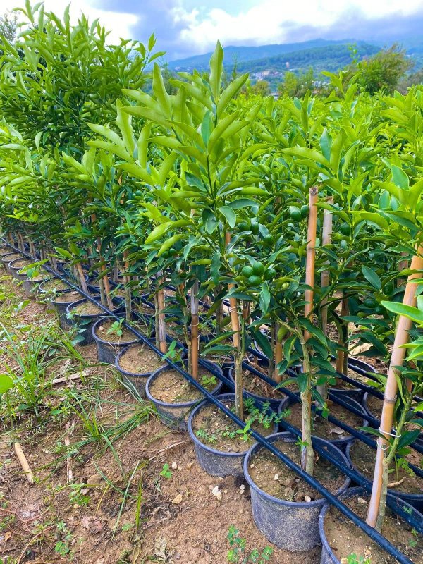 HMKÜ ÖĞRENCİSİNDEN İLHAM VEREN BAŞARI 