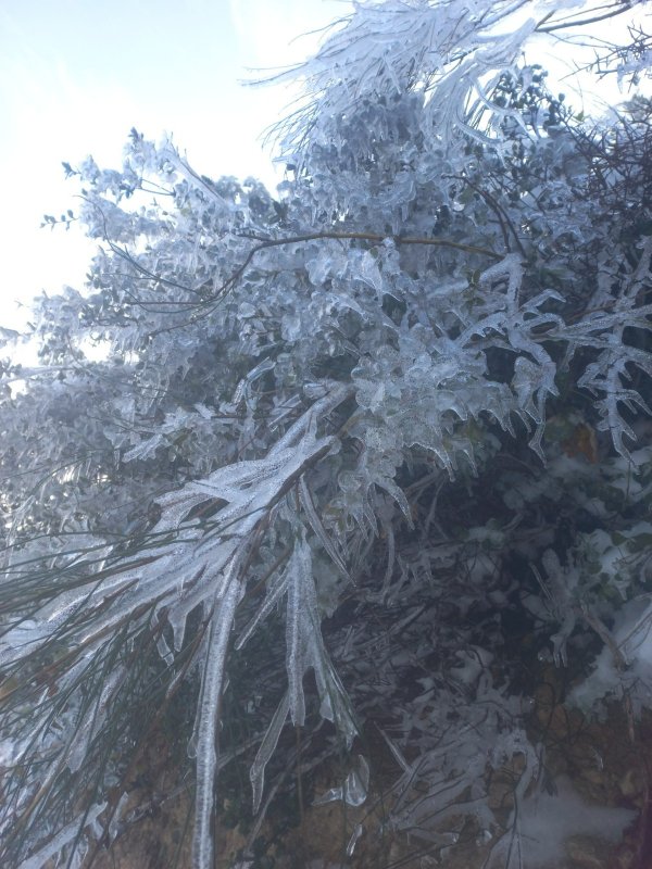 HATAY -5 İLE BUZ TUTTU BEYAZ ESARET HAYATI ZİNDANA ÇEVİRDİ