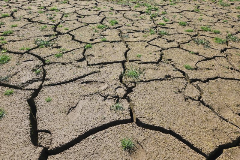 Reyhanlı Ticaret ve Sanayi Odası Başkanı Necmettin Zaroğlu,