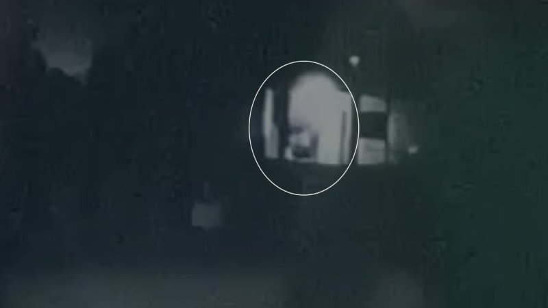 Mesa Spor Kulübü'nün çalınan lisansları, tesislerin yanındaki otluk alanda bulundu