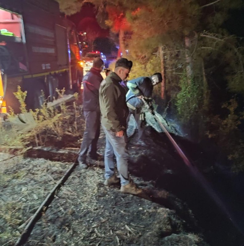  Dörtol’da orman yangını