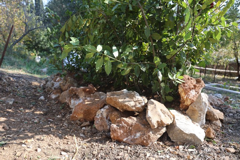 Kaldığı yurdun bahçesinde cansız bedeni bulunan genç kız toprağa verildi