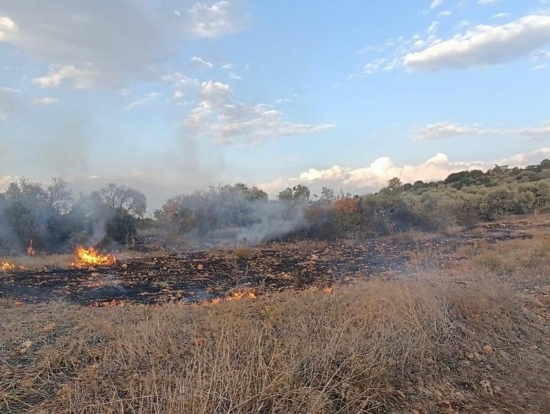 Defne’de zeytinlik alanda çıkan yangın söndürüldü