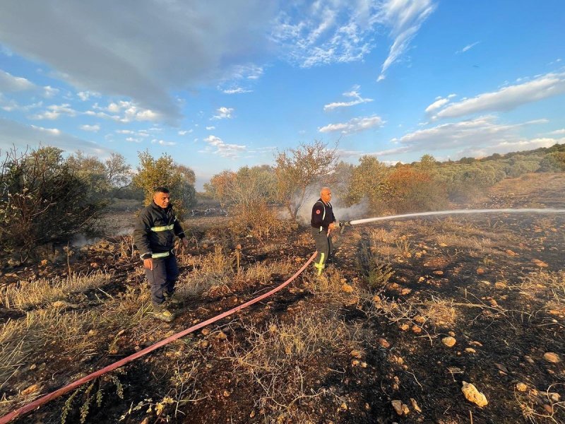 Defne’de zeytinlik alanda çıkan yangın söndürüldü